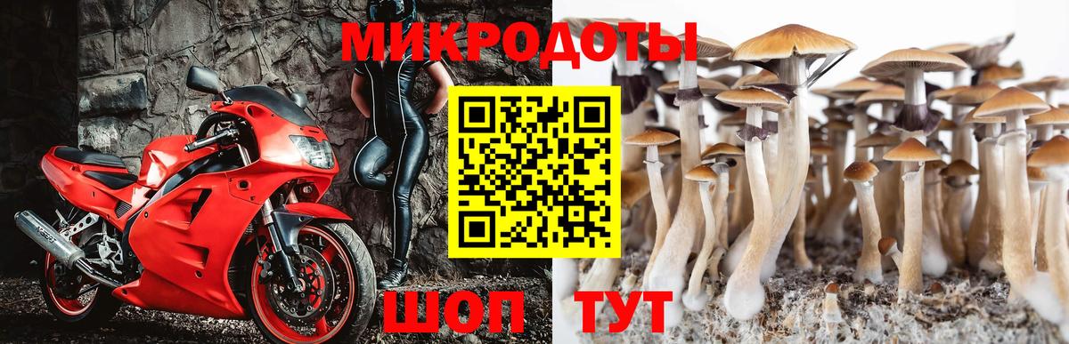 Галлюциногенные грибы Psilocybe  Вход с VPN  Галлюциногенные грибы GOLDEN TEACHER  что такое наркотик  Скопин 