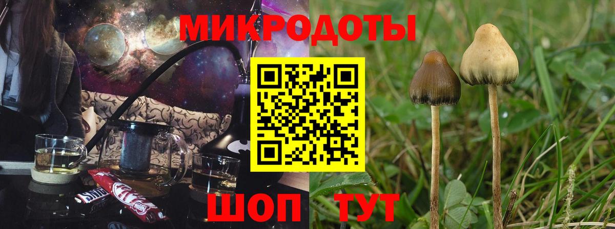 Псилоцибиновые грибы Magic Shrooms Скопин